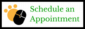 Schedule Appointment Button